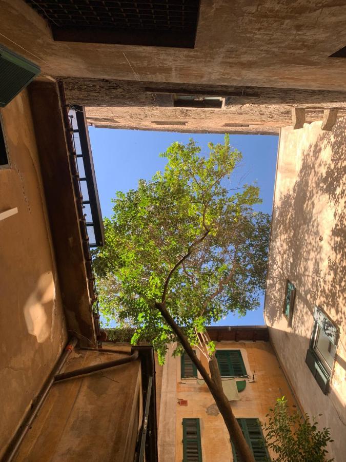 Navona Apartment Rome Extérieur photo